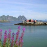 norvege_lofoten_026