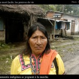 colombie-indienne