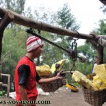 kawah-ijen kawah-ijen
