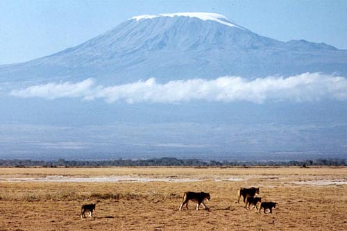 Kilimanjaro