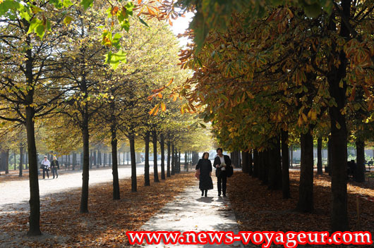 Jardin des Tuileries