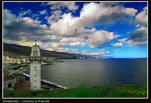 ile canaries