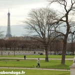 Tour Eiffel vue des Tuileries