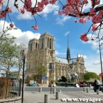 Notre Dame de Paris au printemps