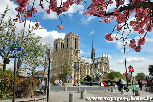 Notre Dame de Paris au printemps