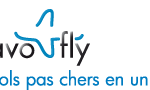 Bravofly logo avion