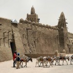 Mali - Anes