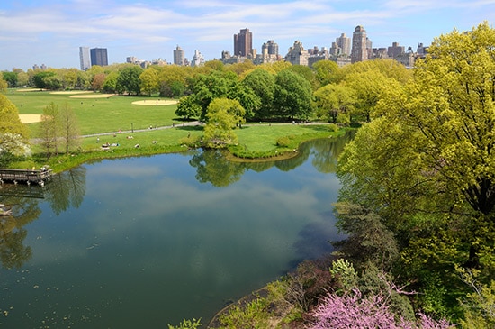 New-York - Central Park