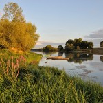 Paysage de bord de rivière