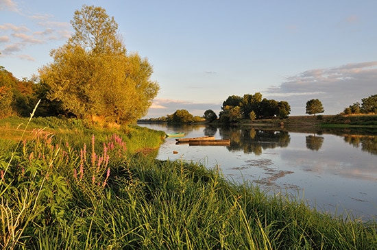 Paysage de bord de rivière