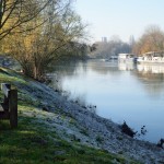 Bord de la Marne et péniche