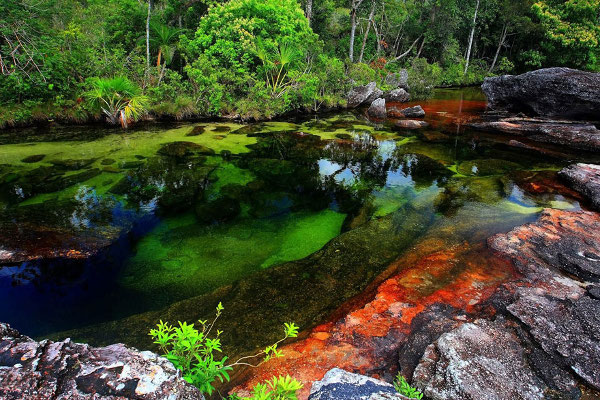 Cano Cristales Riviere en Colombie