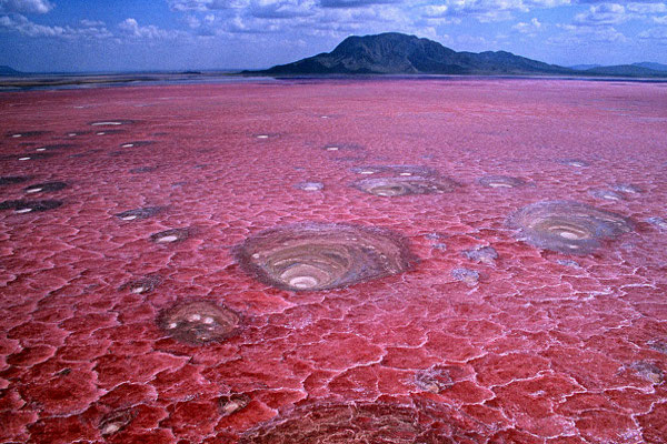 Lac_Natron en Tanzanie