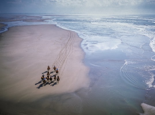 Somme-Hensons-en-baie-Credit_Tibo.org