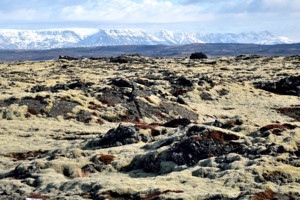 Islande - Reykjanes