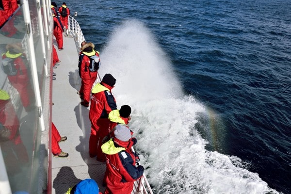 bateau touriste