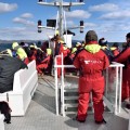 Islande - Deuxième excursion pour voir des baleine