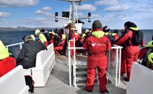 Islande - Deuxième excursion pour voir des baleine