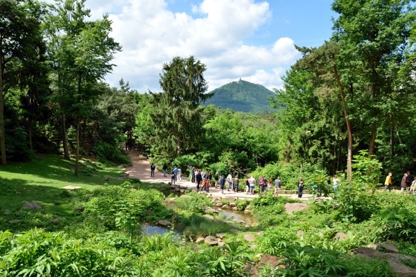 montagne singe paysage