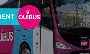 Ouibus annonce