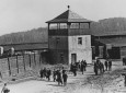 Buchenwald