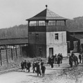 Buchenwald