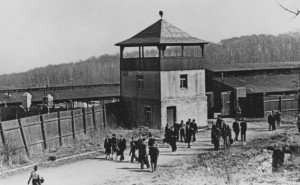 Buchenwald
