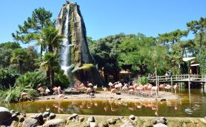 Zoo palmyre