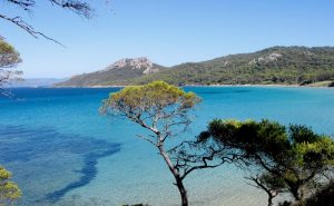 Iles de Porquerolles