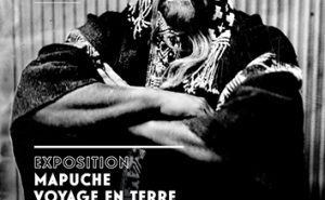 Affiche exposition - Mapuche