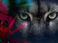 Affiche zoo Vincennes