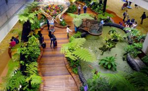 Aéroport Singapour jardin